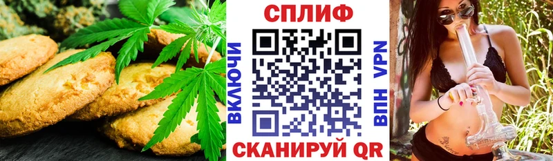 shop телеграм  Циолковский  Cannafood марихуана 