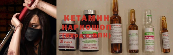 крисы Магадан