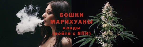 дурь Мегион