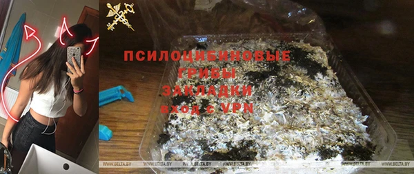 крисы Магадан