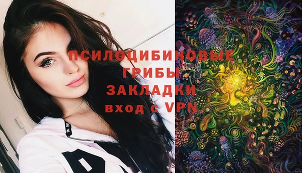 крисы Магадан